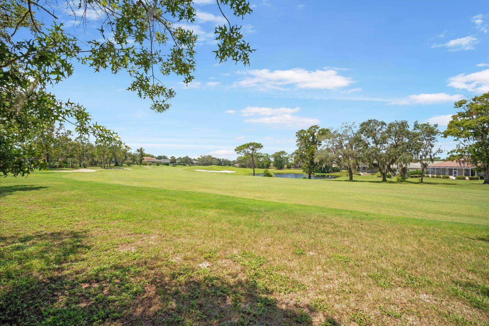 9109 PLAYERS DR, WEEKI WACHEE, FL, 34613