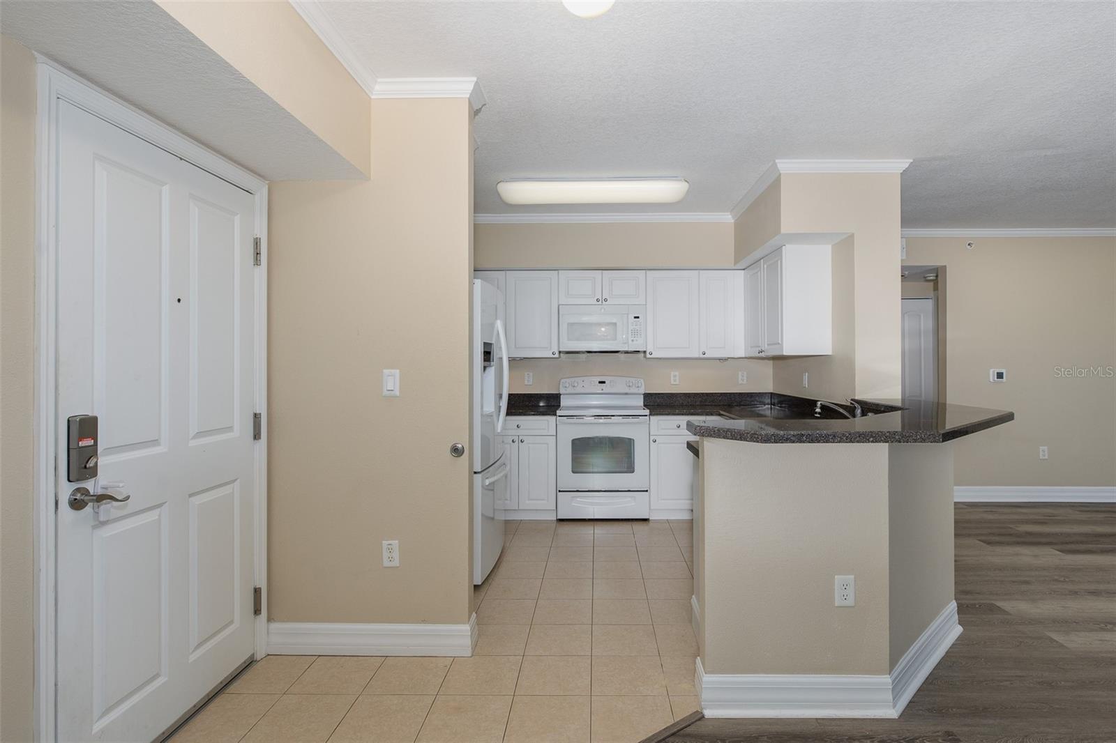 4516 SEAGULL DR #417, NEW PORT RICHEY, FL, 34652