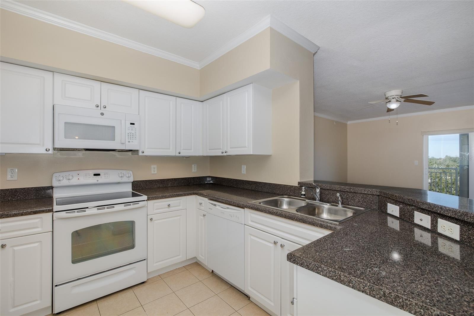 4516 SEAGULL DR #417, NEW PORT RICHEY, FL, 34652