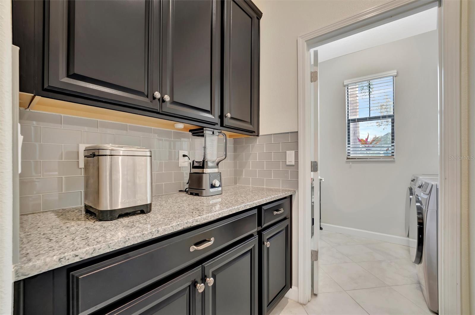 13355 ORCA SOUND DR, RIVERVIEW, FL, 33579