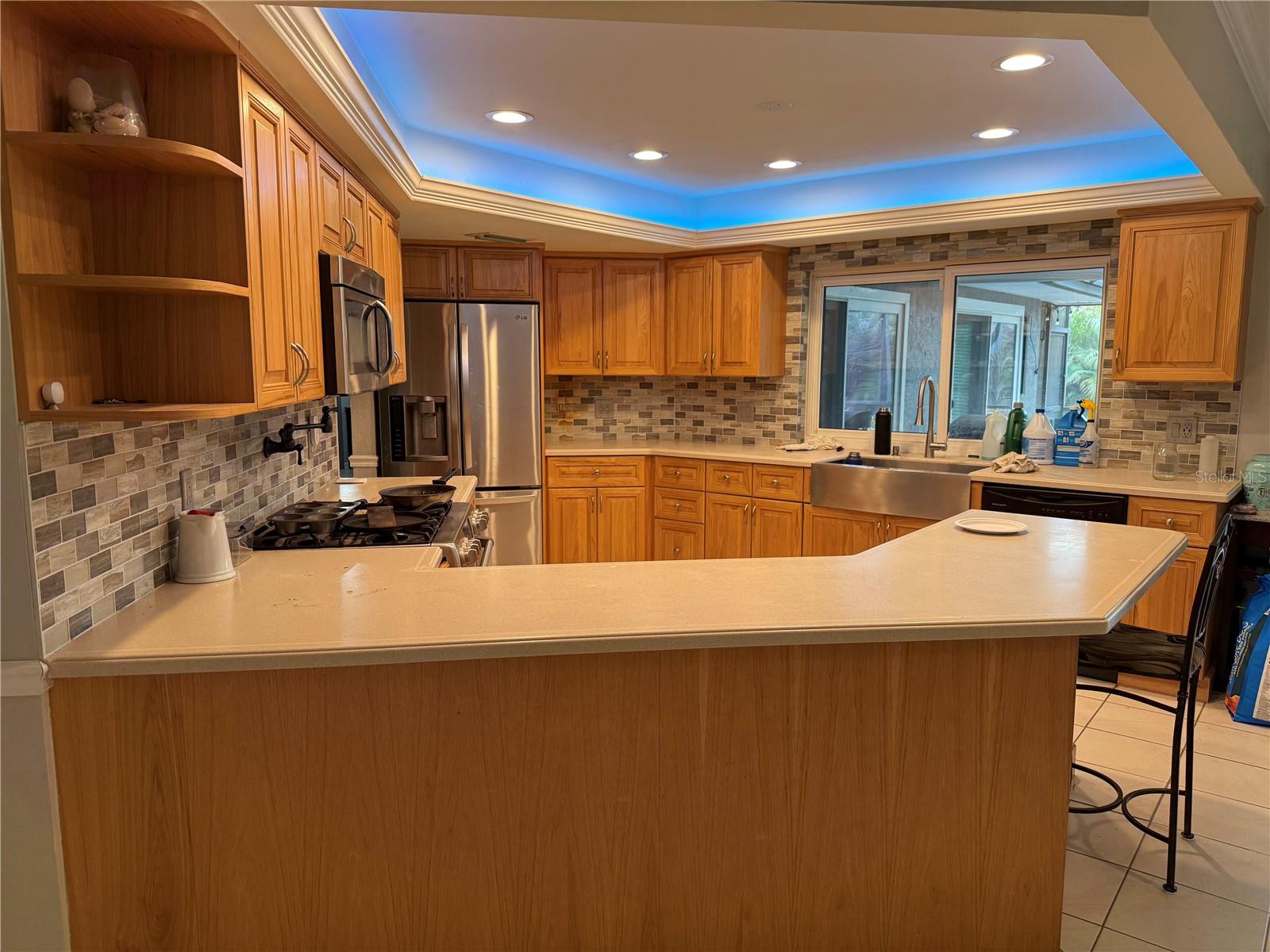 3544 SNOWY EGRET CT, PALM HARBOR, FL, 34683