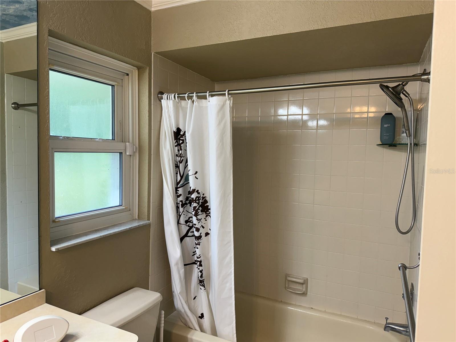 3544 SNOWY EGRET CT, PALM HARBOR, FL, 34683