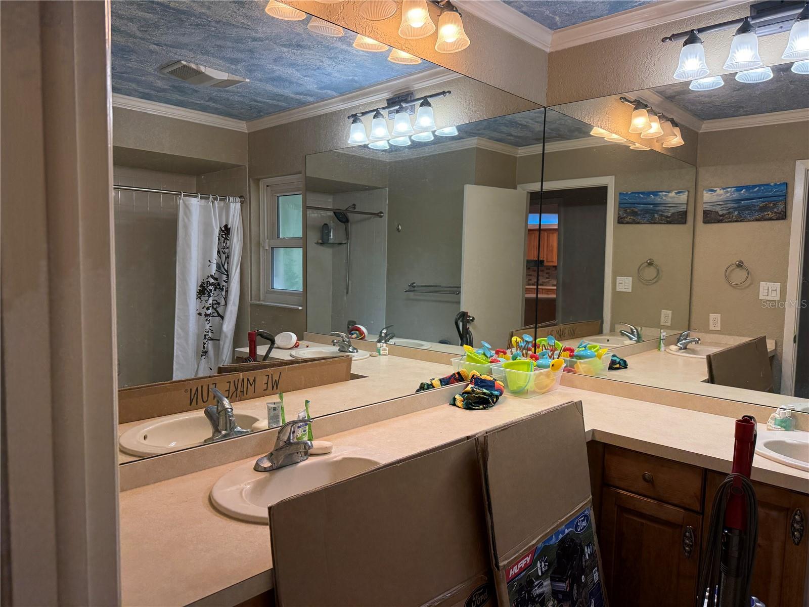 3544 SNOWY EGRET CT, PALM HARBOR, FL, 34683