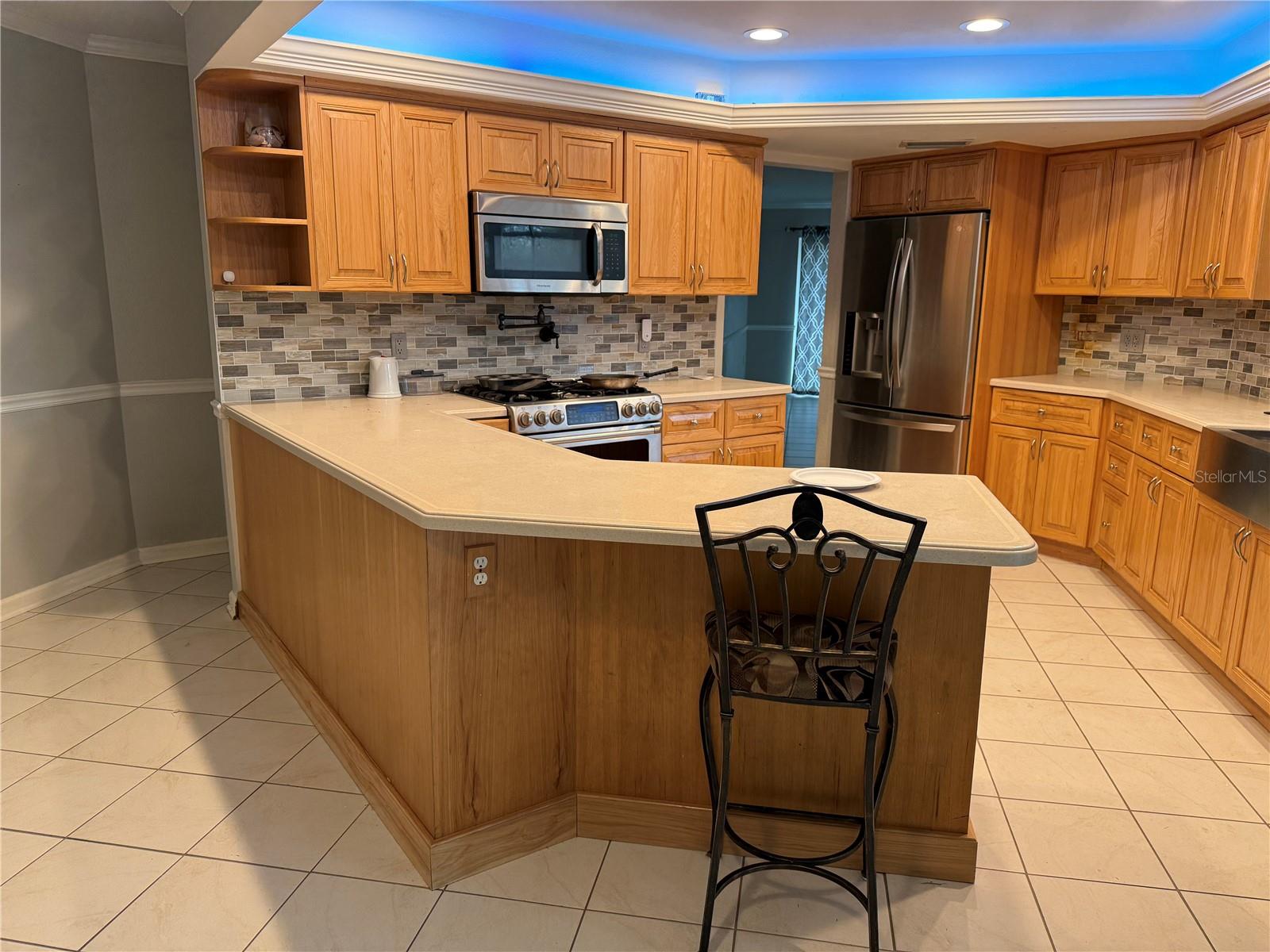 3544 SNOWY EGRET CT, PALM HARBOR, FL, 34683
