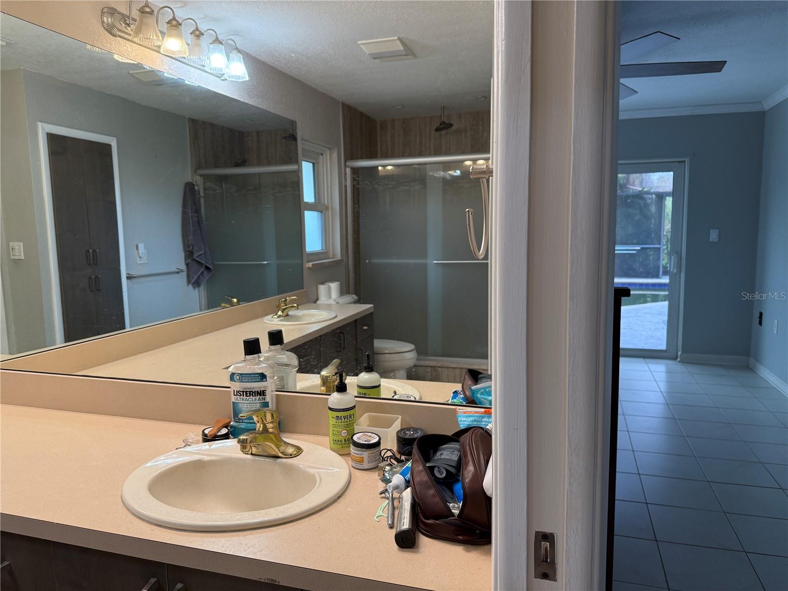 3544 SNOWY EGRET CT, PALM HARBOR, FL, 34683