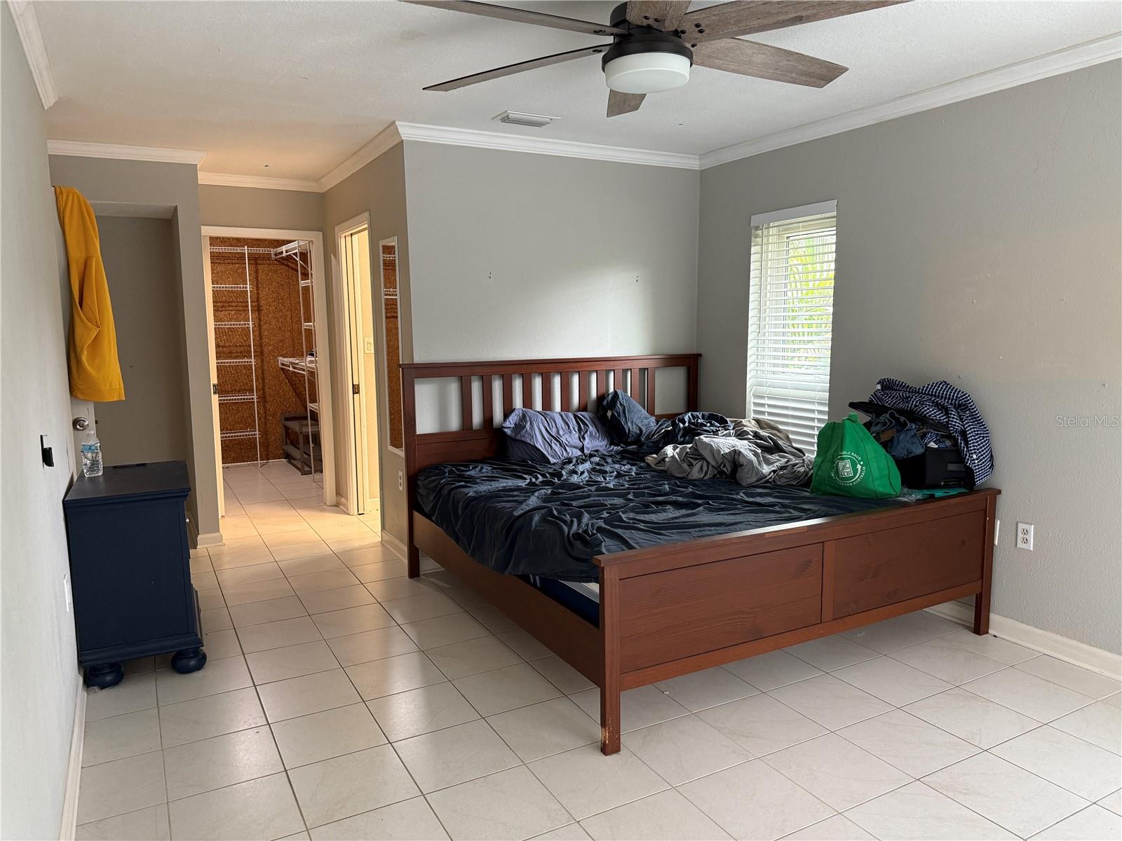 3544 SNOWY EGRET CT, PALM HARBOR, FL, 34683