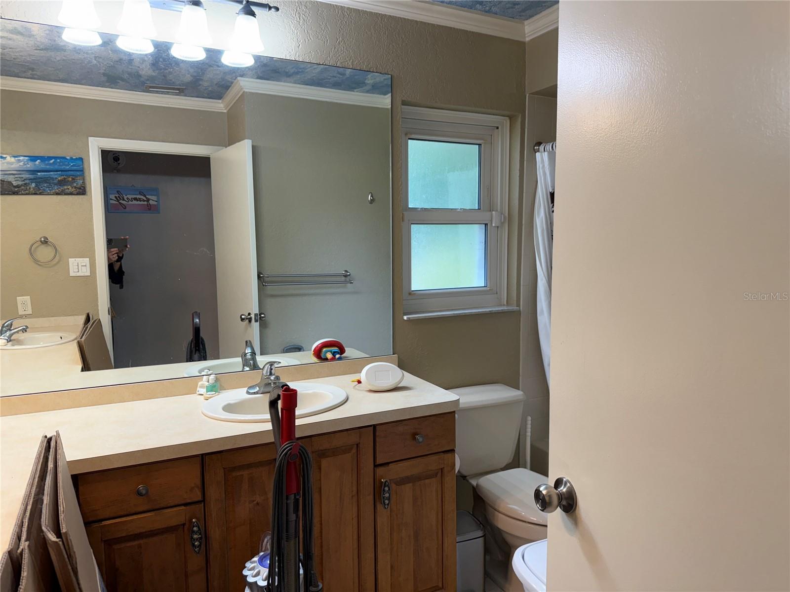 3544 SNOWY EGRET CT, PALM HARBOR, FL, 34683
