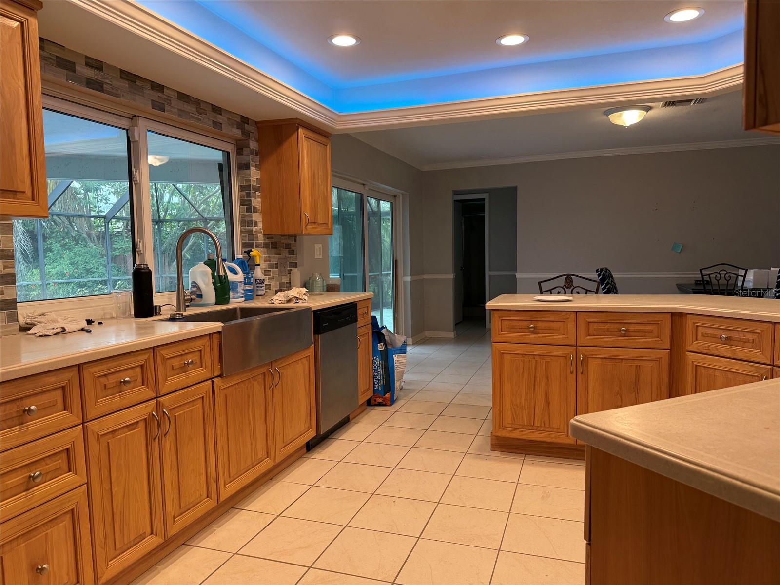 3544 SNOWY EGRET CT, PALM HARBOR, FL, 34683