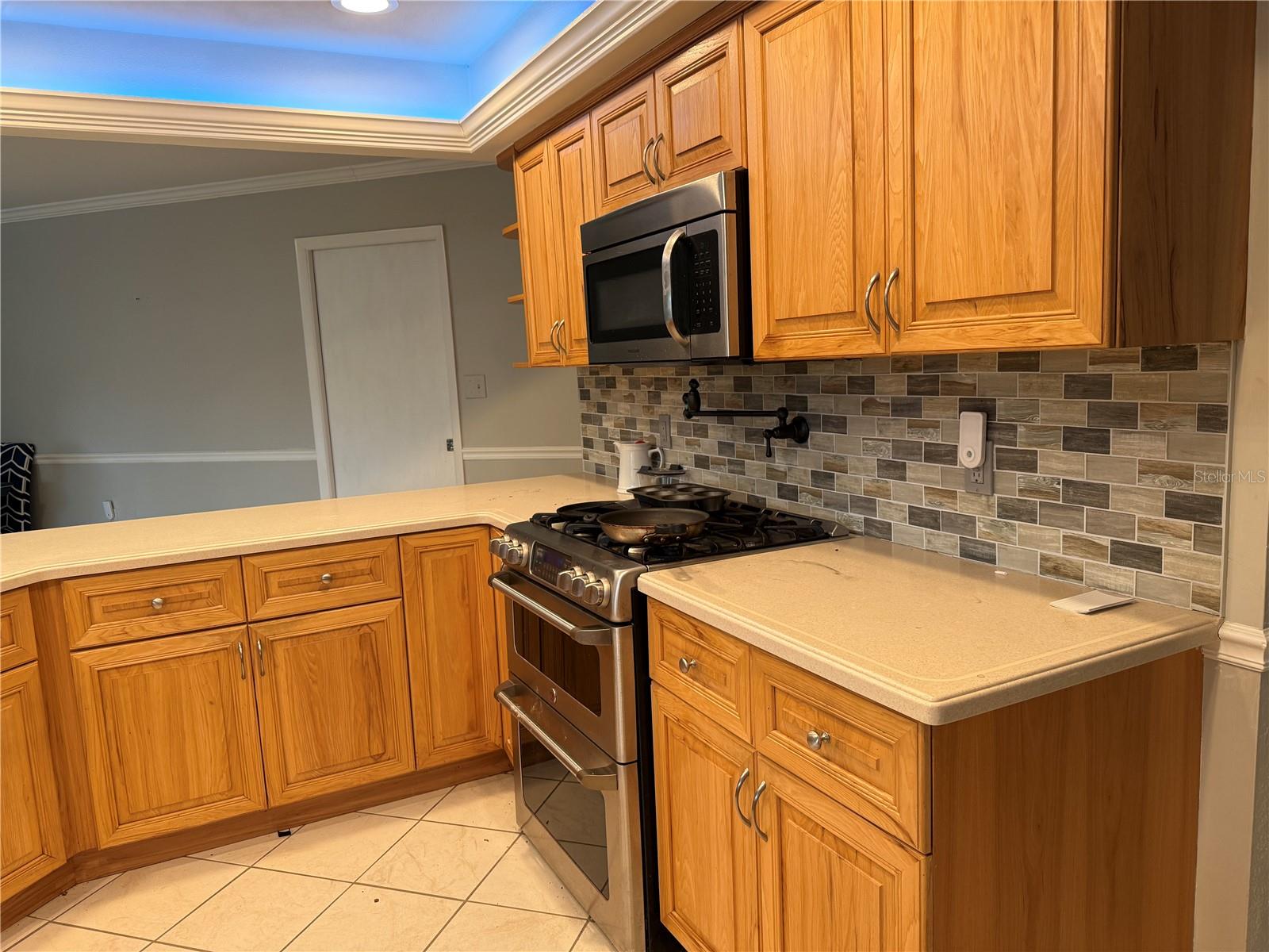 3544 SNOWY EGRET CT, PALM HARBOR, FL, 34683