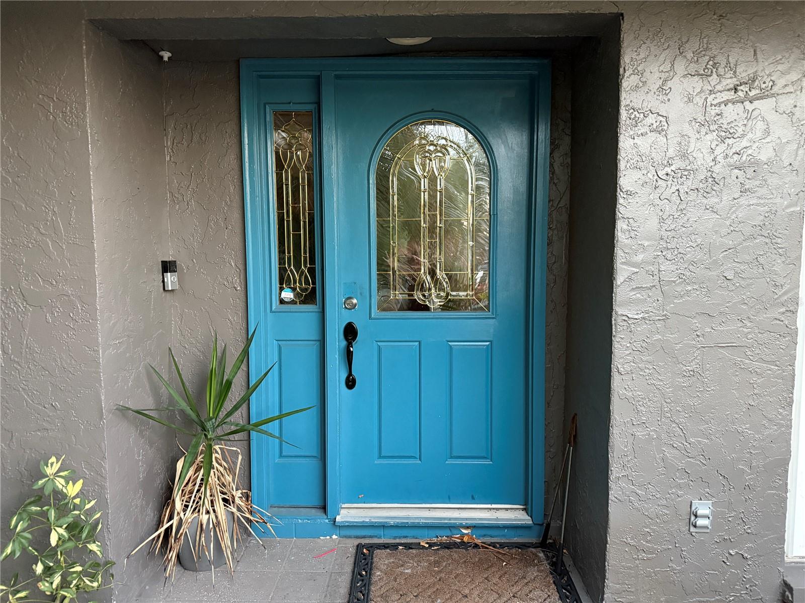 3544 SNOWY EGRET CT, PALM HARBOR, FL, 34683