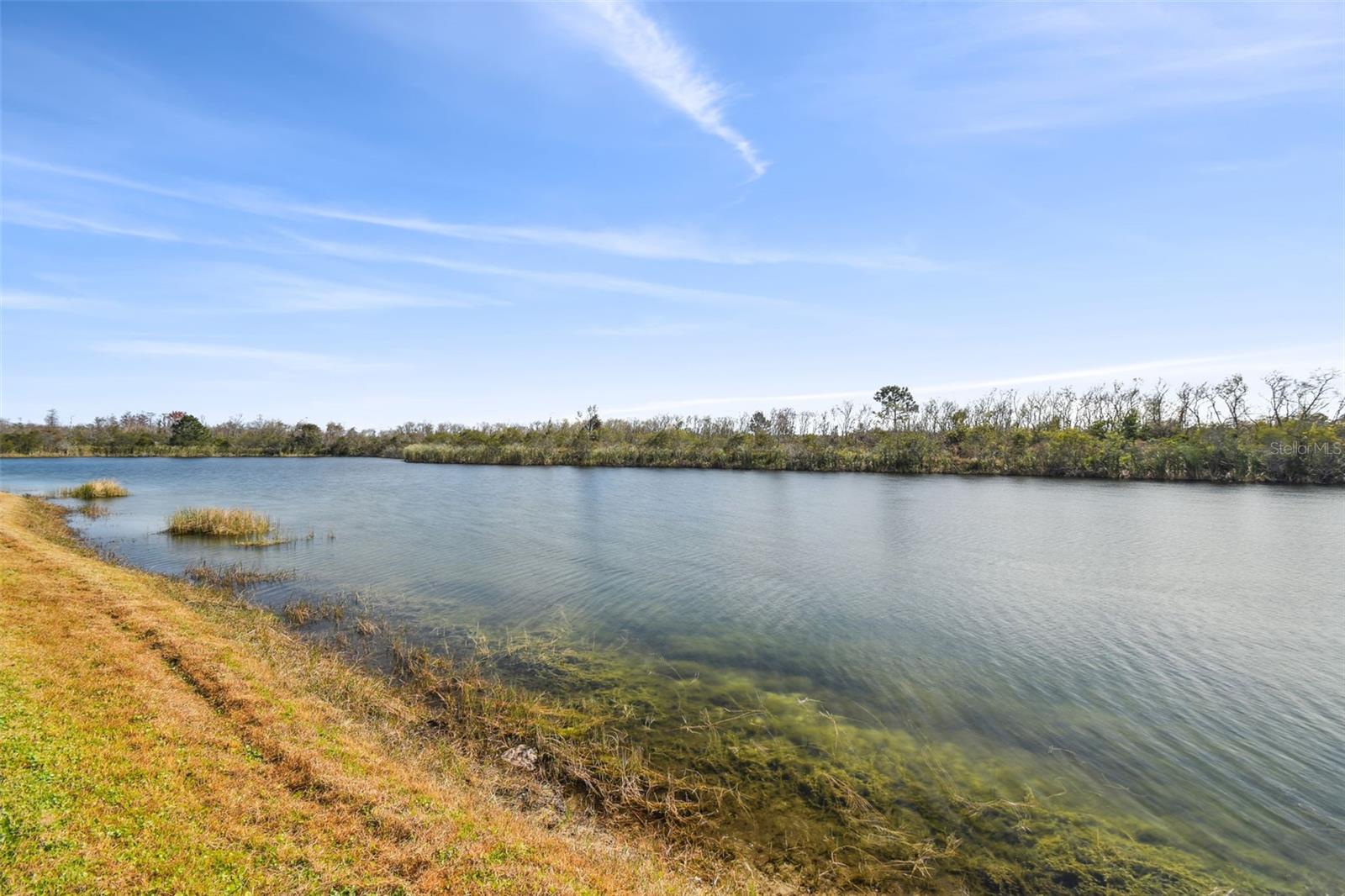 18442 NEW LONDON AVE, LAND O LAKES, FL, 34638