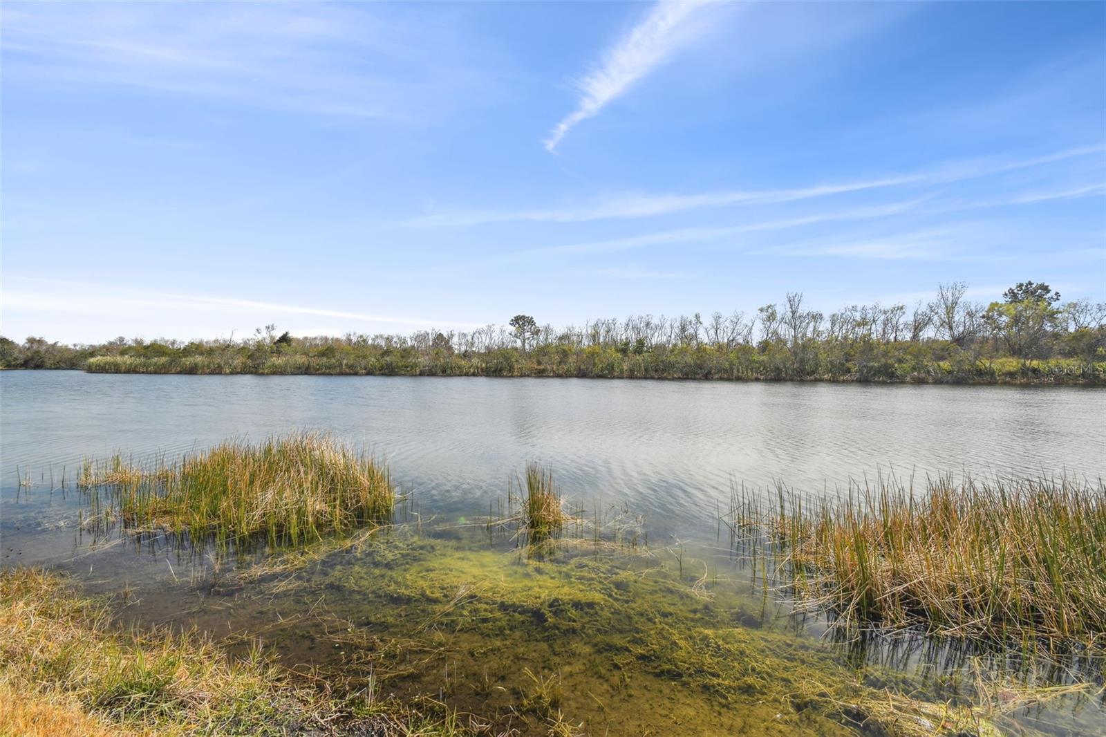 18442 NEW LONDON AVE, LAND O LAKES, FL, 34638