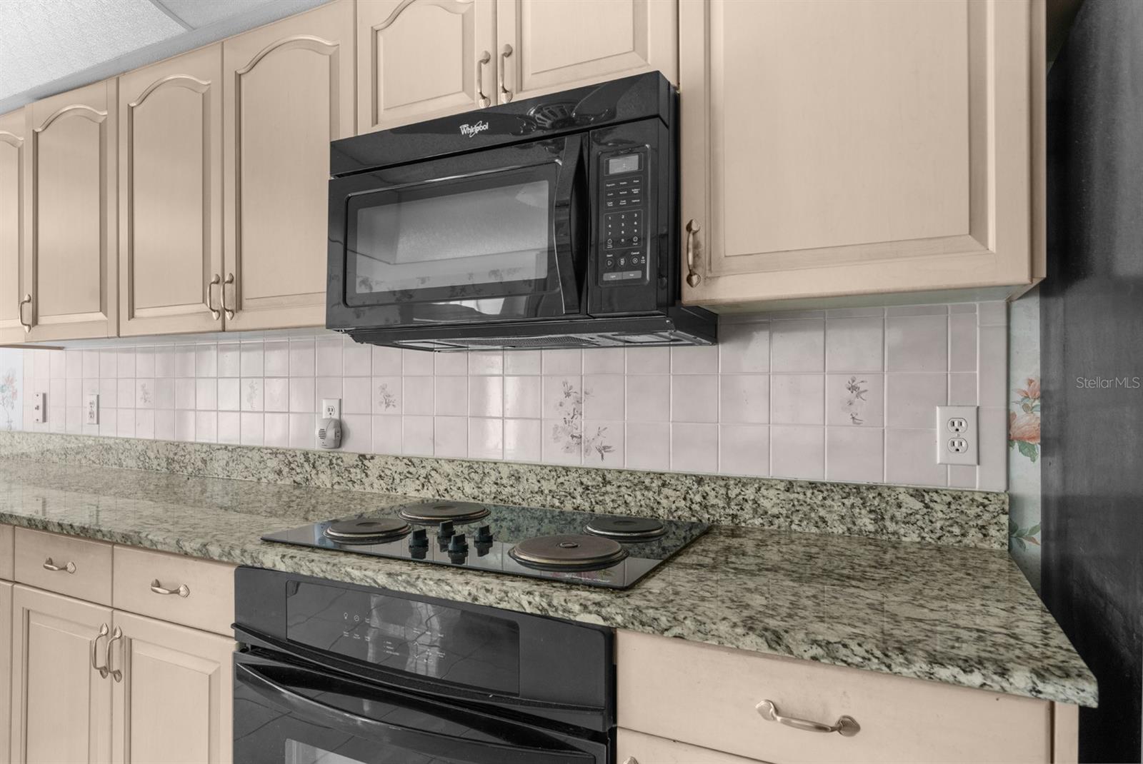 555 CRESSIDA CIR, SPRING HILL, FL, 34609