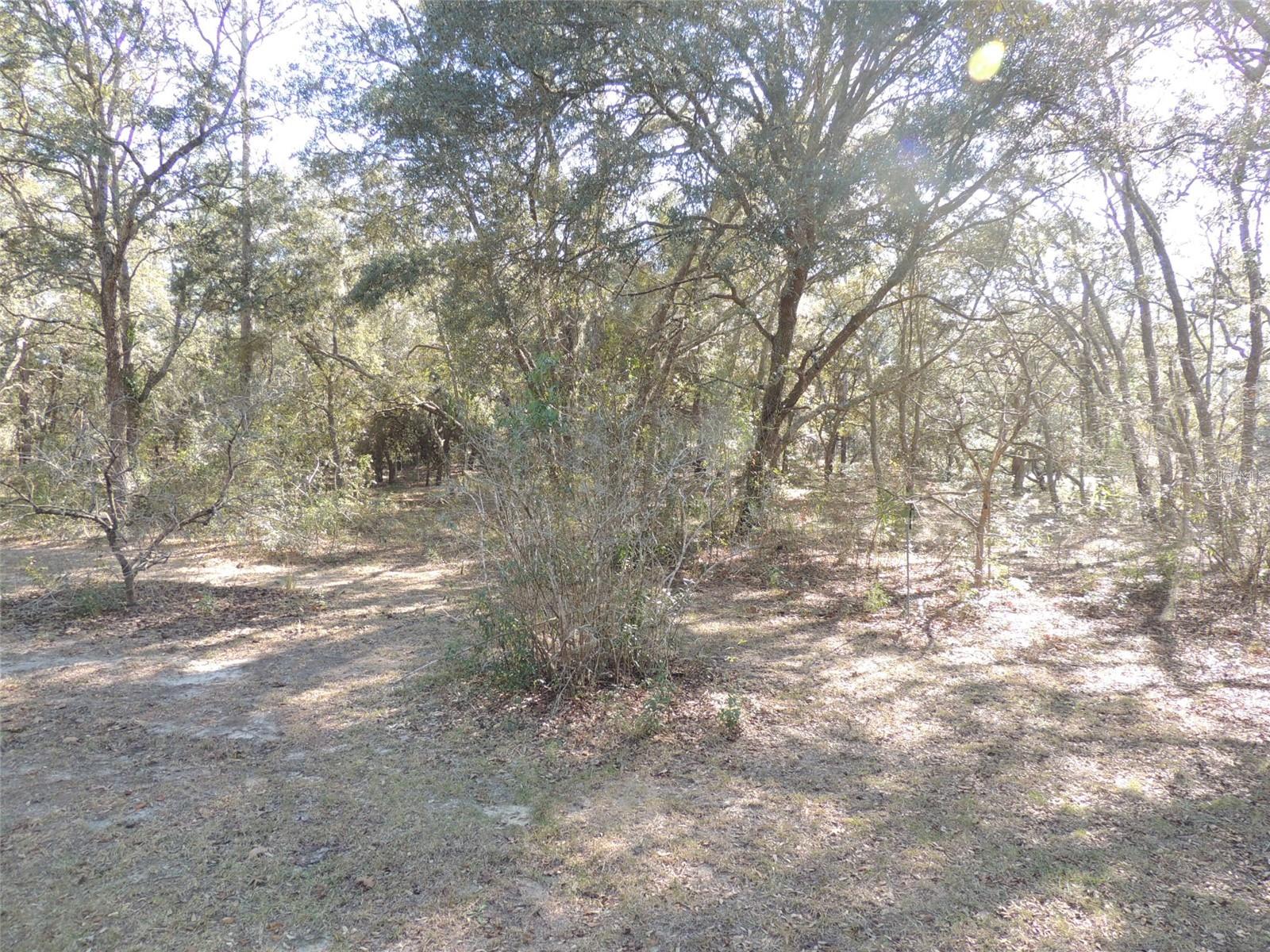 3761 SE 117TH TER, MORRISTON, FL, 32668