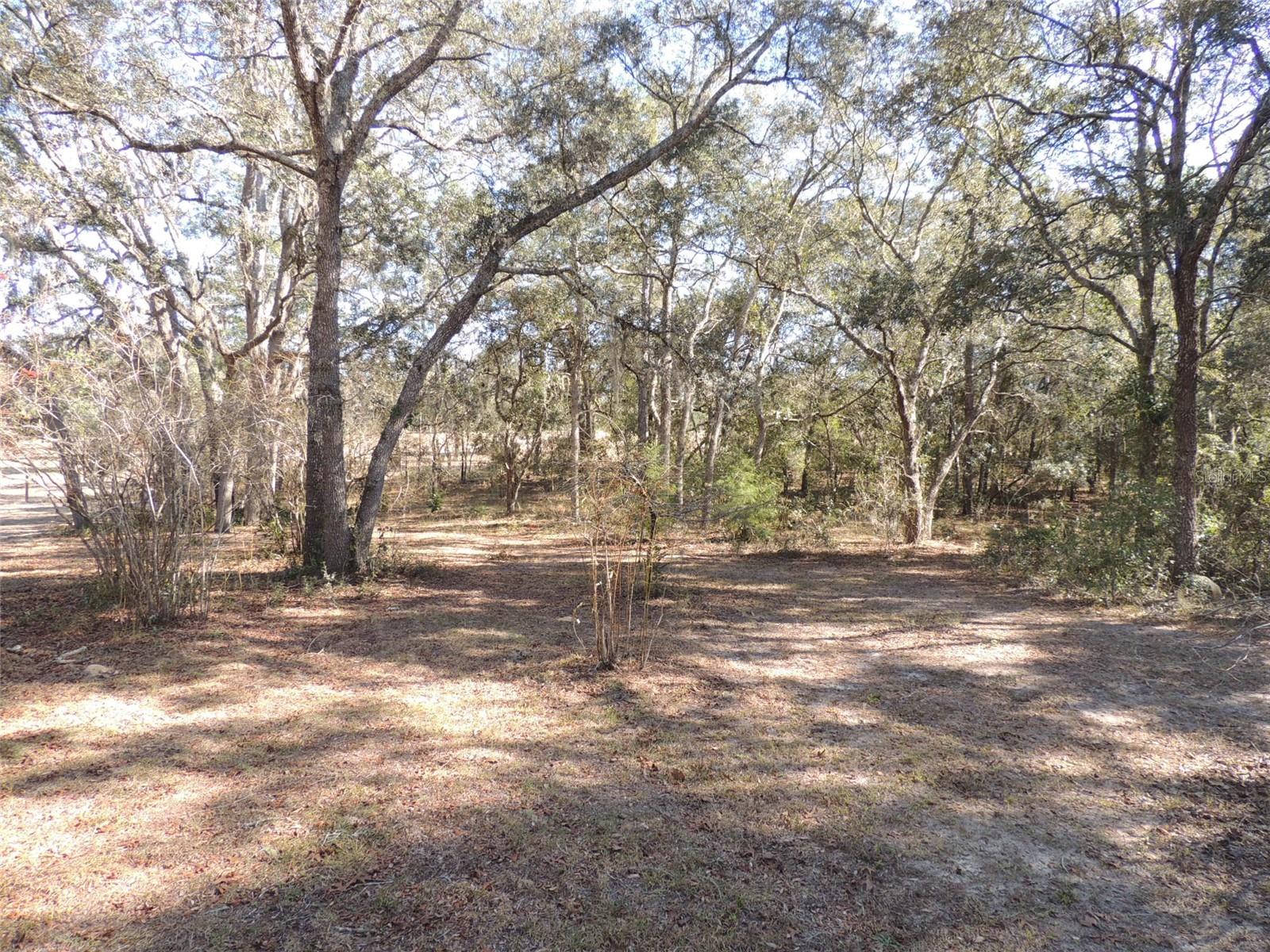 3761 SE 117TH TER, MORRISTON, FL, 32668