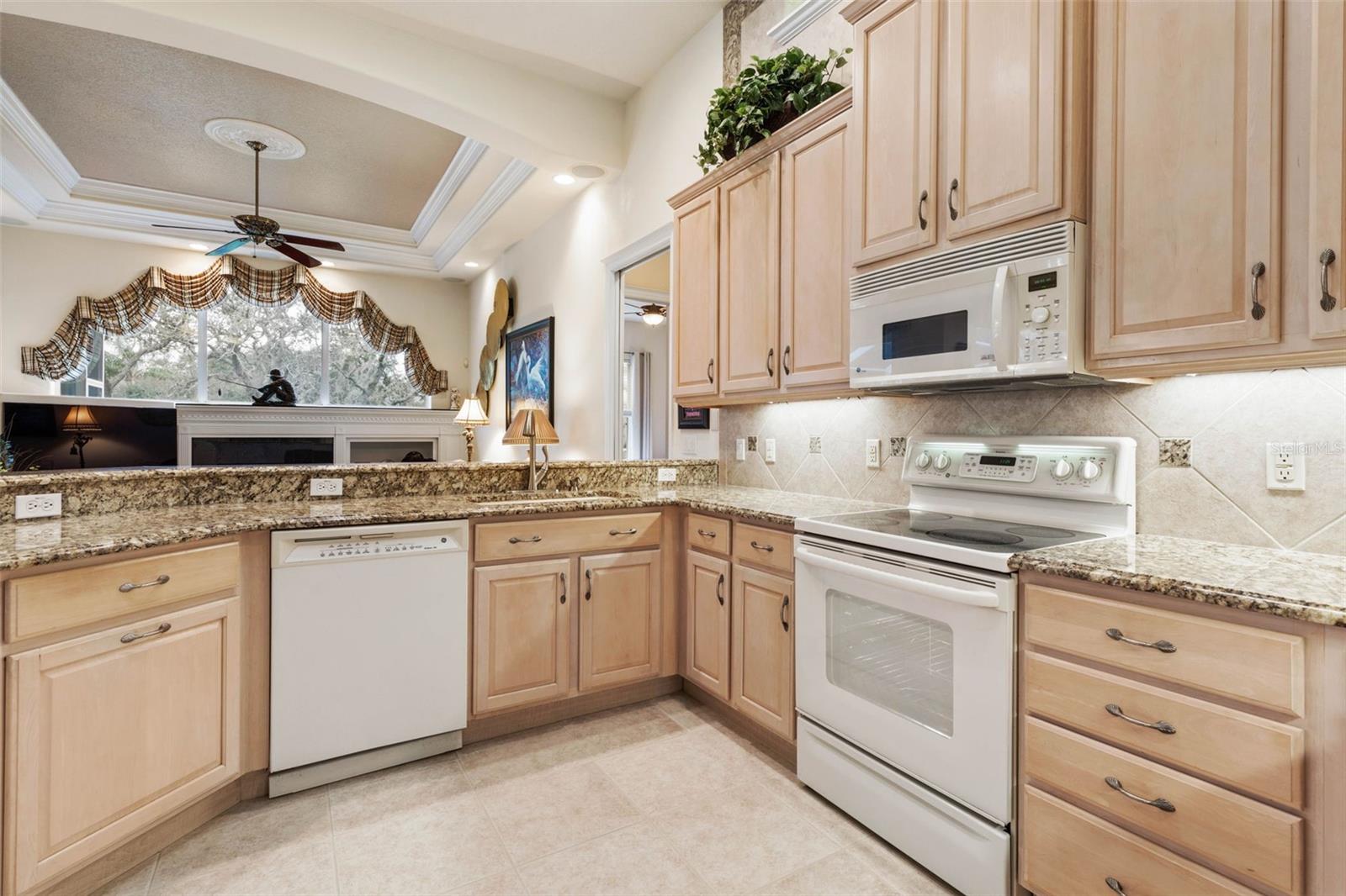 12 EGRET DR, PALM COAST, FL, 32137