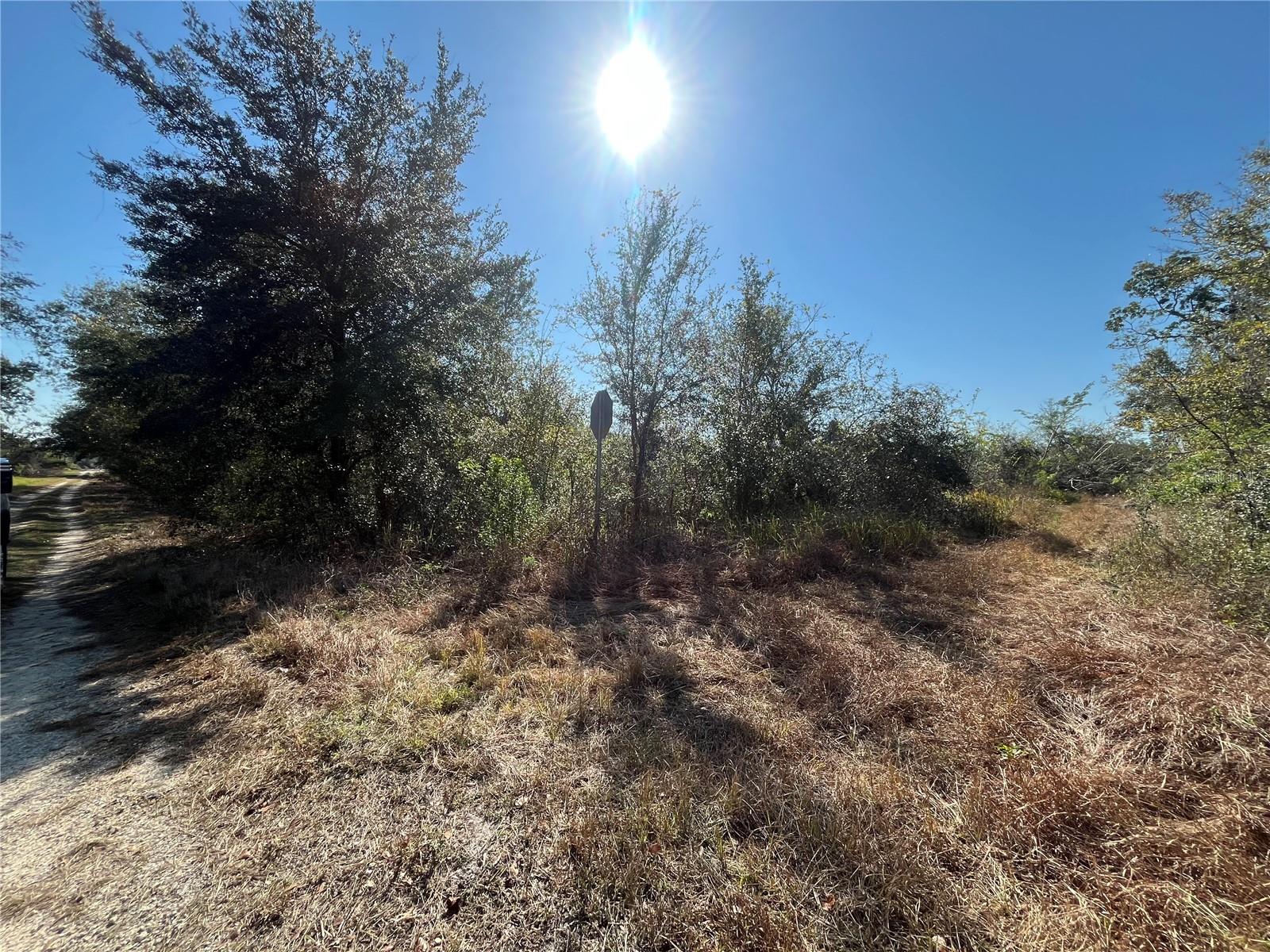 755 LYNBROOK ST, LAKE PLACID, FL, 33852