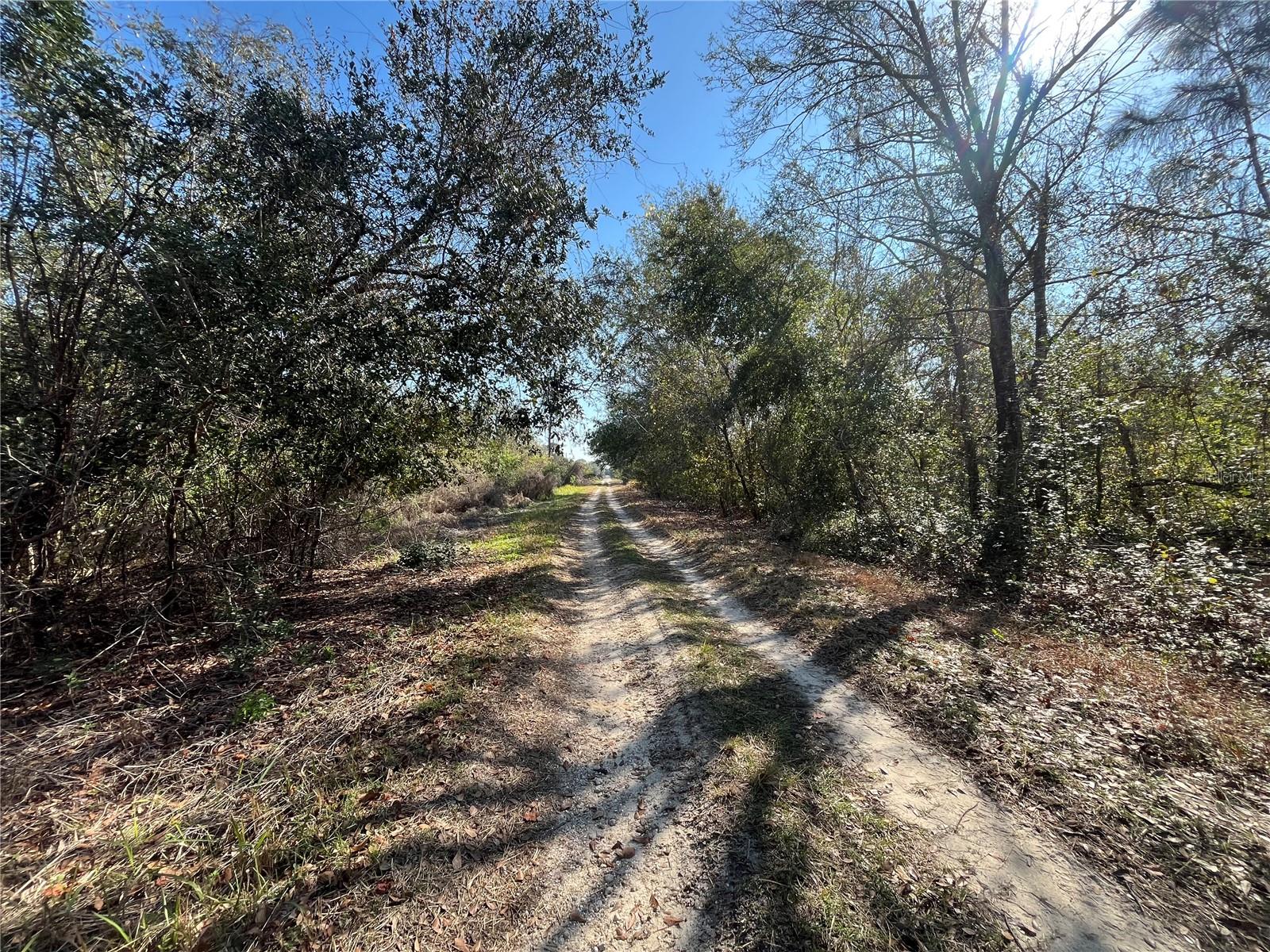 755 LYNBROOK ST, LAKE PLACID, FL, 33852