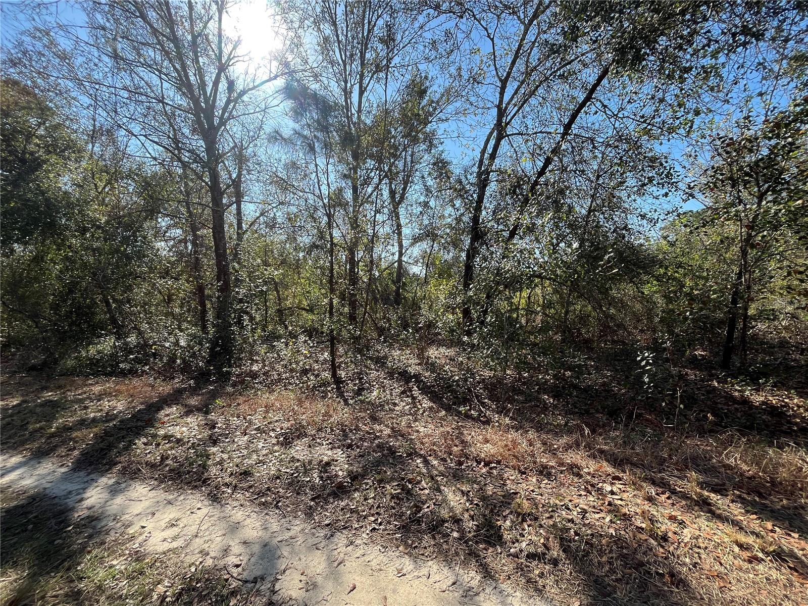 755 LYNBROOK ST, LAKE PLACID, FL, 33852