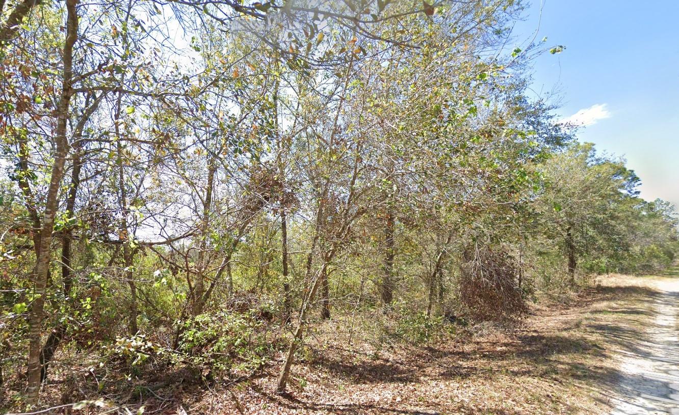 755 LYNBROOK ST, LAKE PLACID, FL, 33852