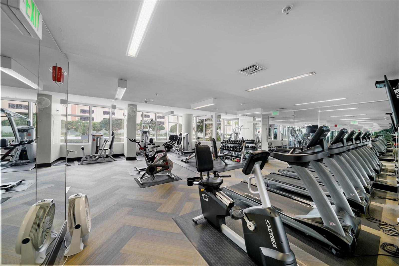175 1ST ST S #3102, ST PETERSBURG, FL, 33701