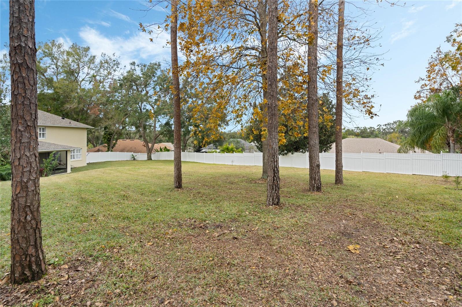 1175 BRENTWOOD DR, CLERMONT, FL, 34711