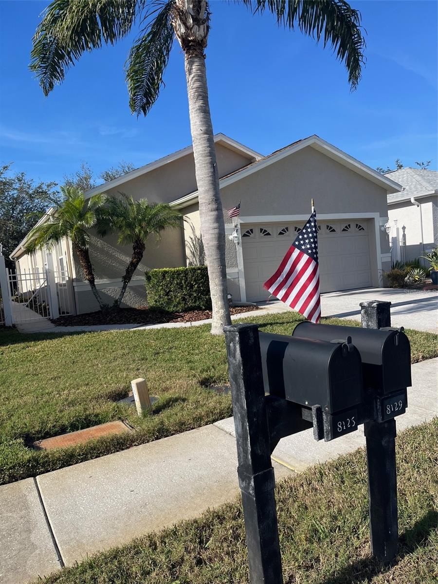 8129 AMBERSWEET PL, LAND O LAKES, FL, 34637