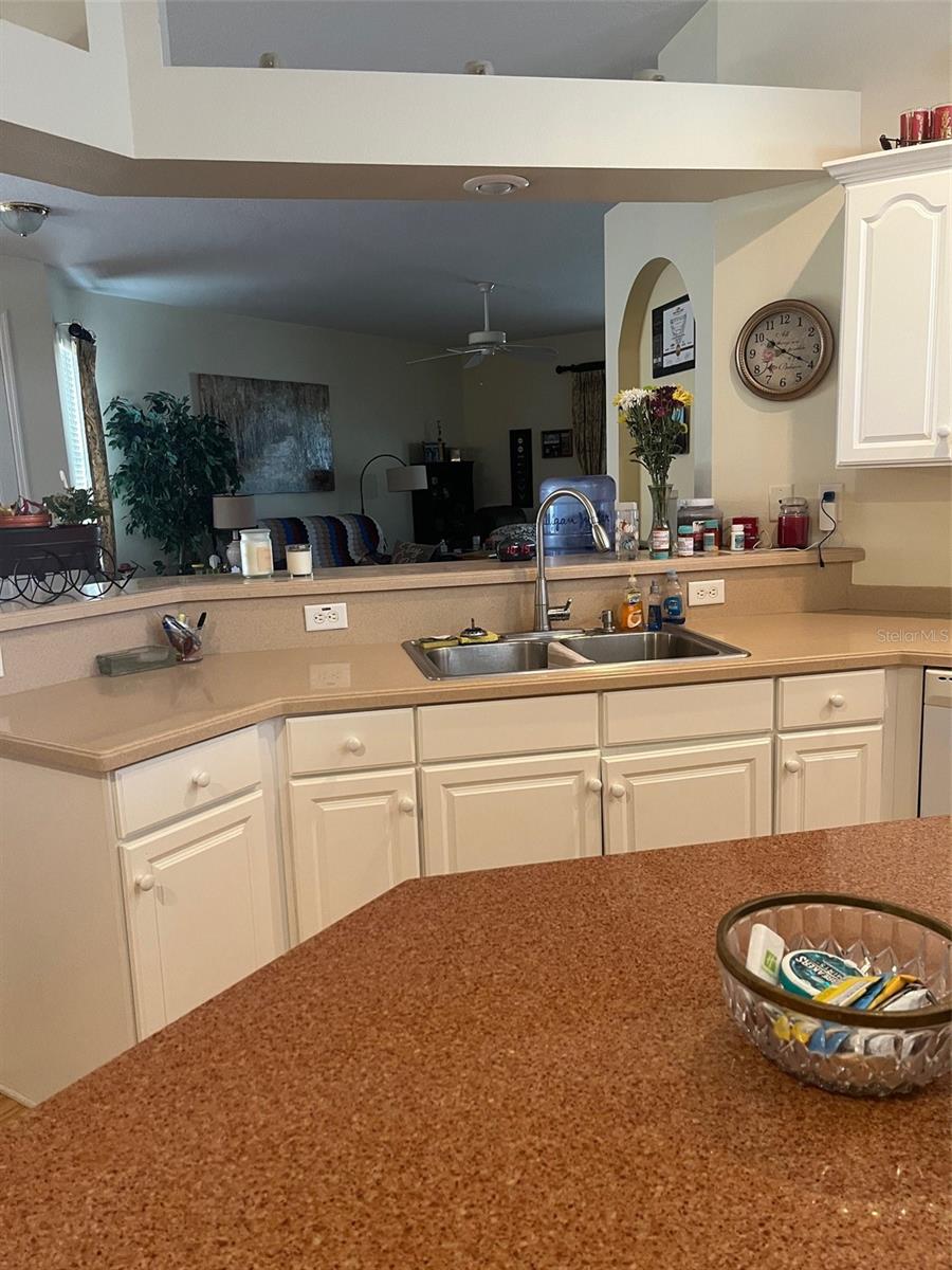 8129 AMBERSWEET PL, LAND O LAKES, FL, 34637