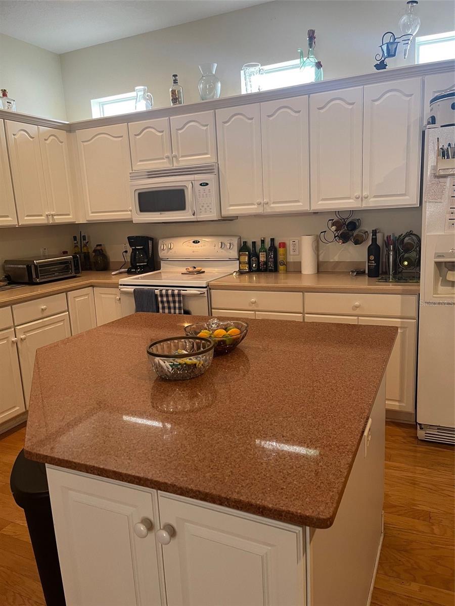 8129 AMBERSWEET PL, LAND O LAKES, FL, 34637