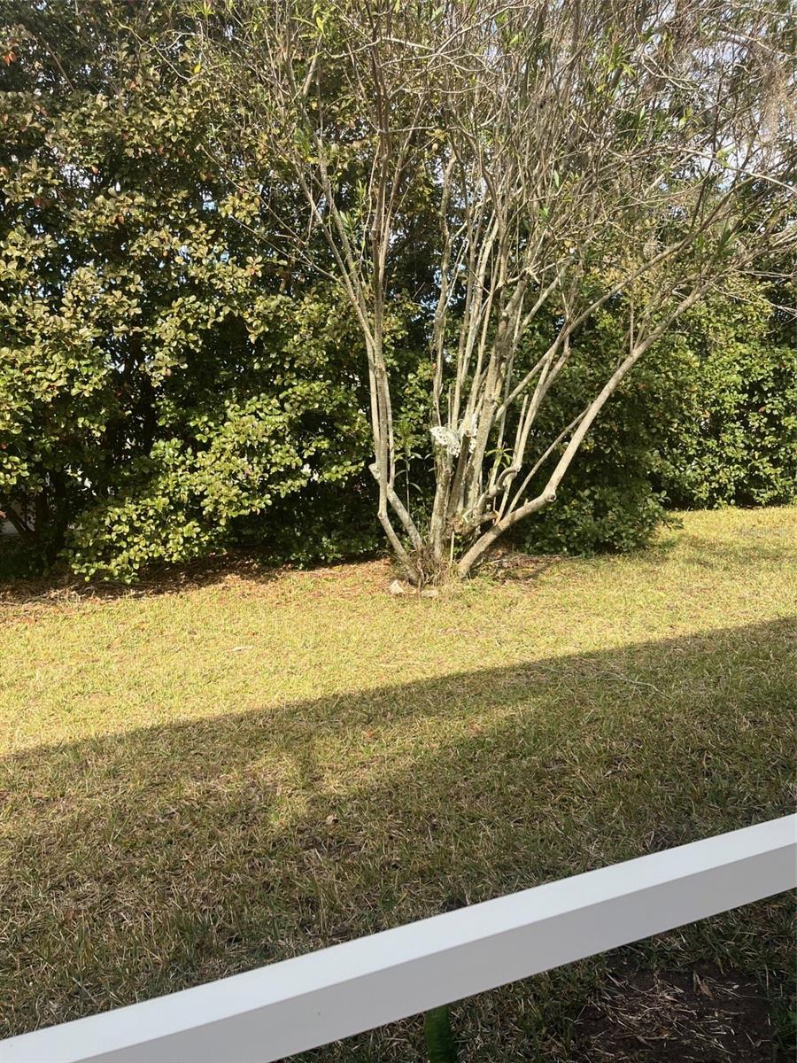 8129 AMBERSWEET PL, LAND O LAKES, FL, 34637