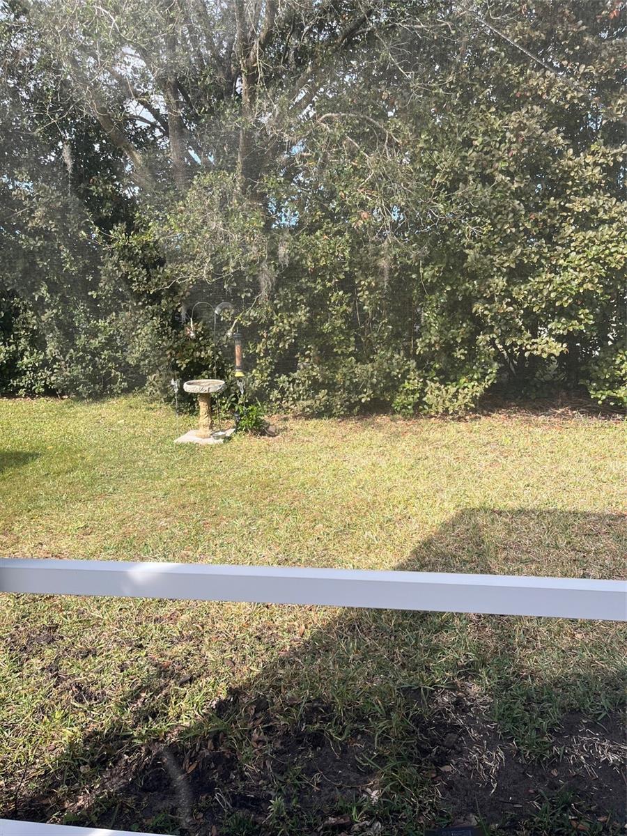 8129 AMBERSWEET PL, LAND O LAKES, FL, 34637