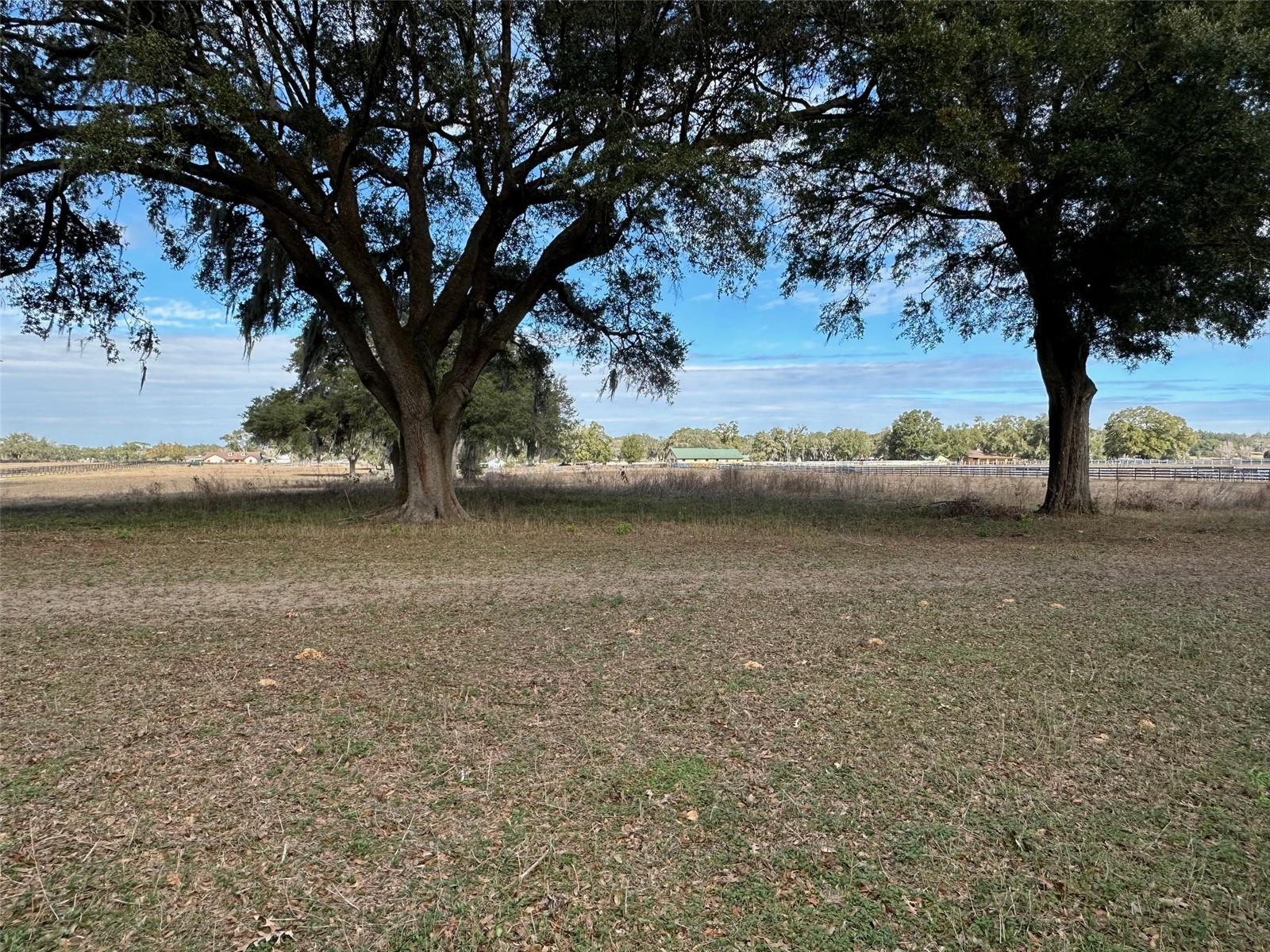 2492 SW 100TH ST, OCALA, FL, 34479