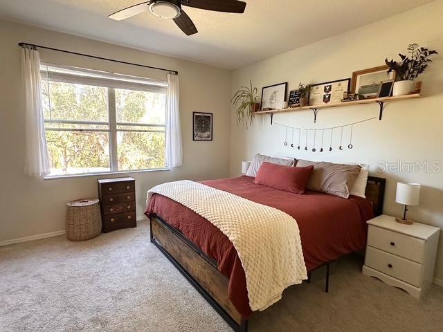 3878 DEBERRY DR, SARASOTA, FL, 34233