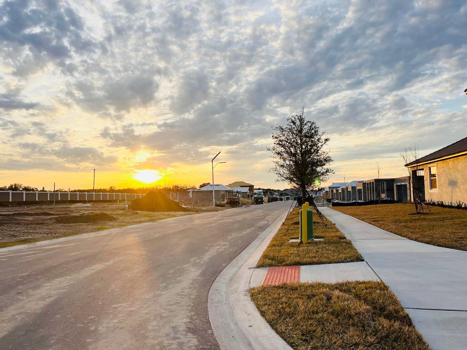 31856 CARDINAL YARD DR, SAN ANTONIO, FL, 33576