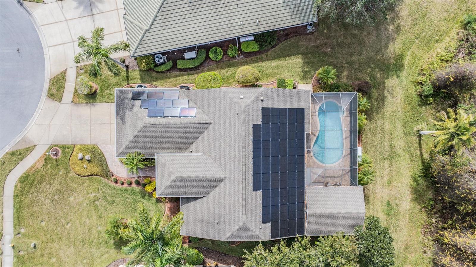 1413 MORNING ROSE PL, TRINITY, FL, 34655