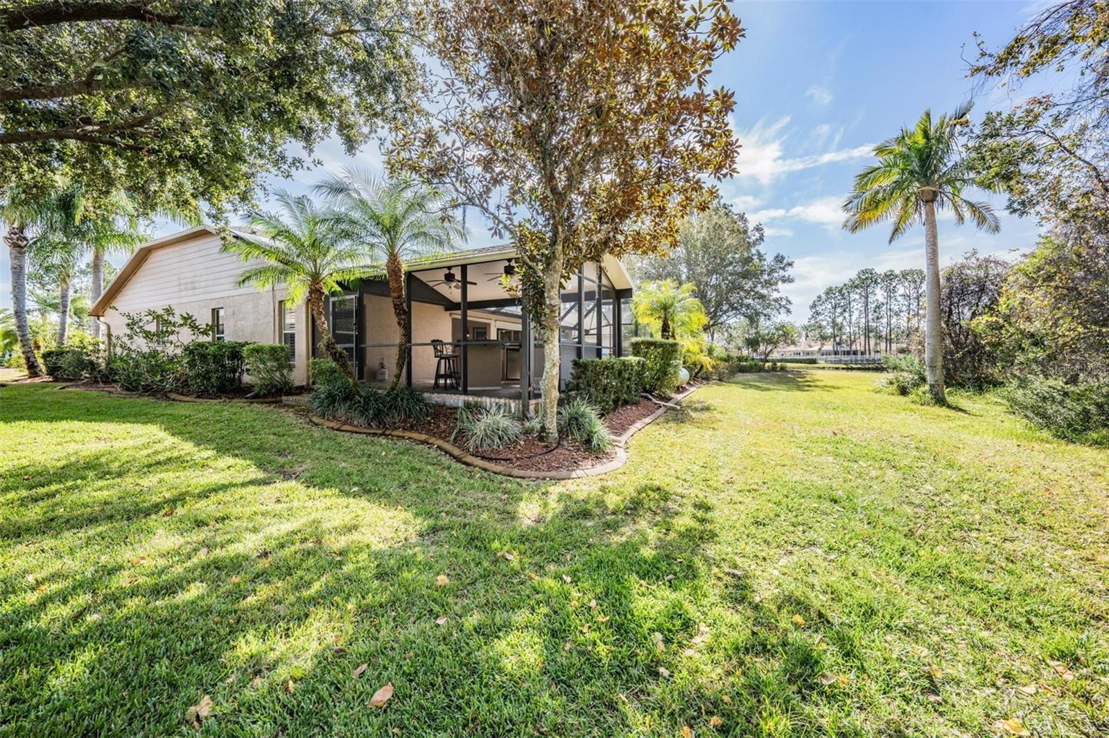 1413 MORNING ROSE PL, TRINITY, FL, 34655