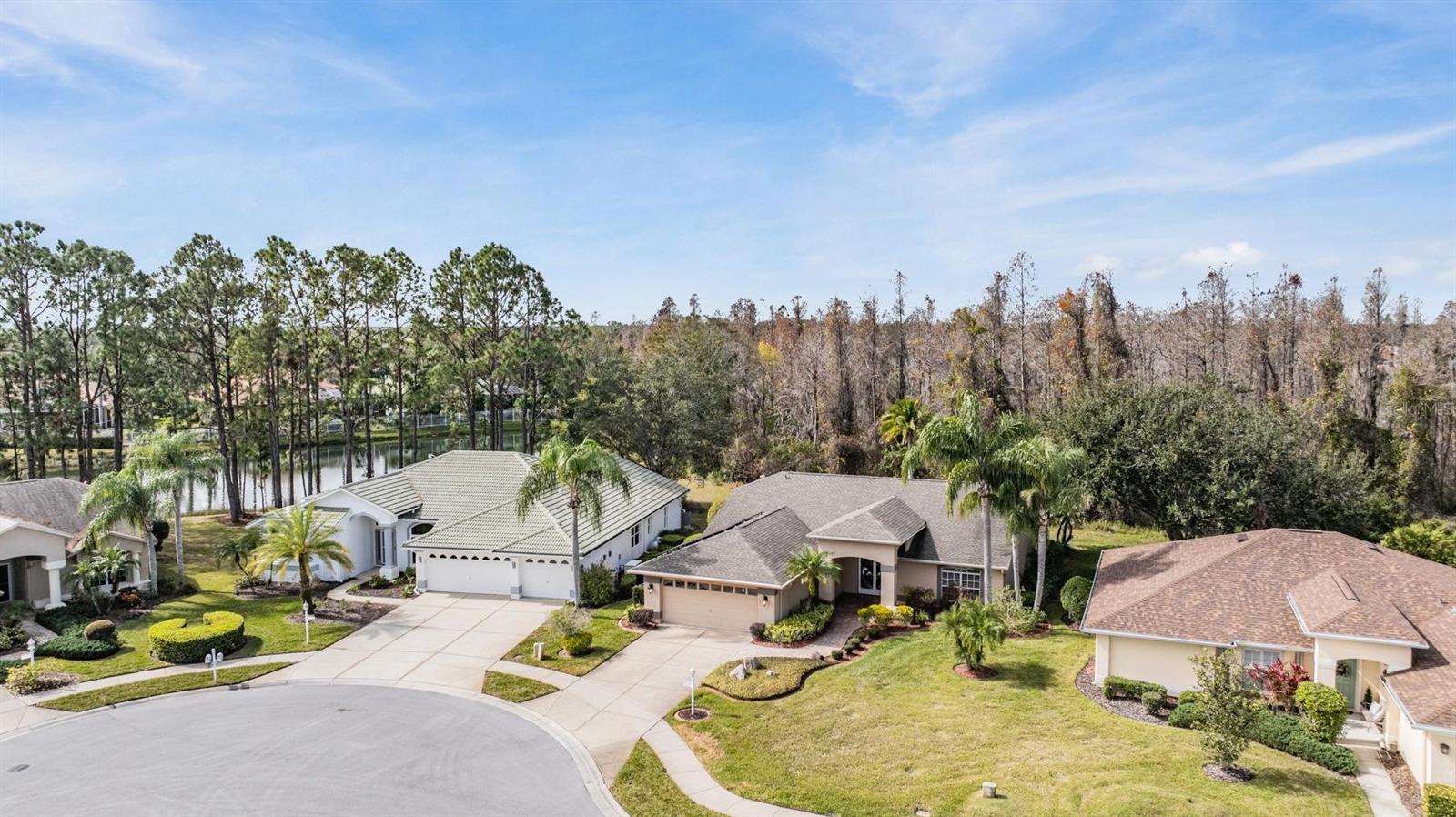 1413 MORNING ROSE PL, TRINITY, FL, 34655