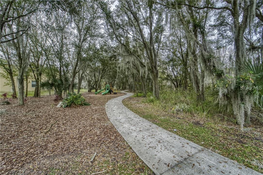 2815 HOLLY BLUFF CT, PLANT CITY, FL, 33566
