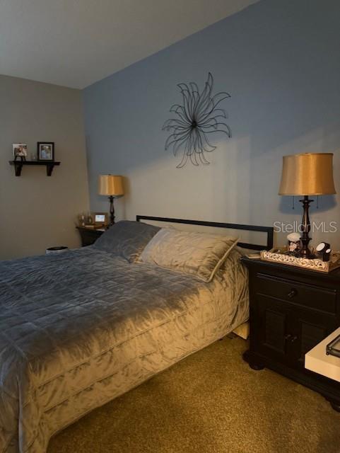 2815 HOLLY BLUFF CT, PLANT CITY, FL, 33566