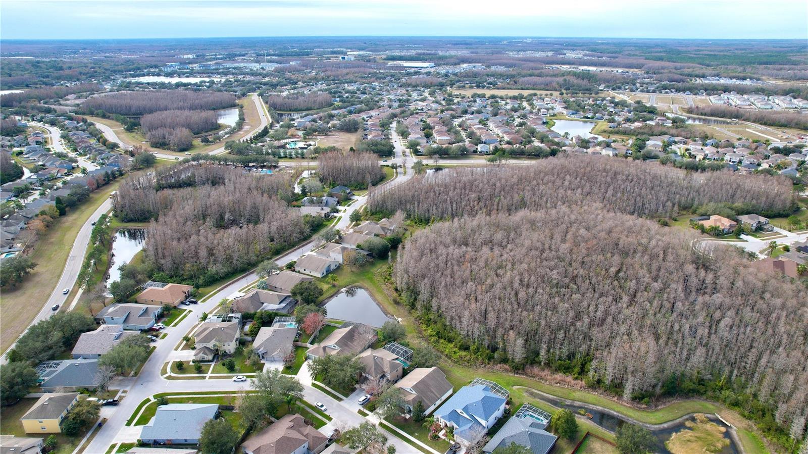 3455 BARNWEILL ST, LAND O LAKES, FL, 34638