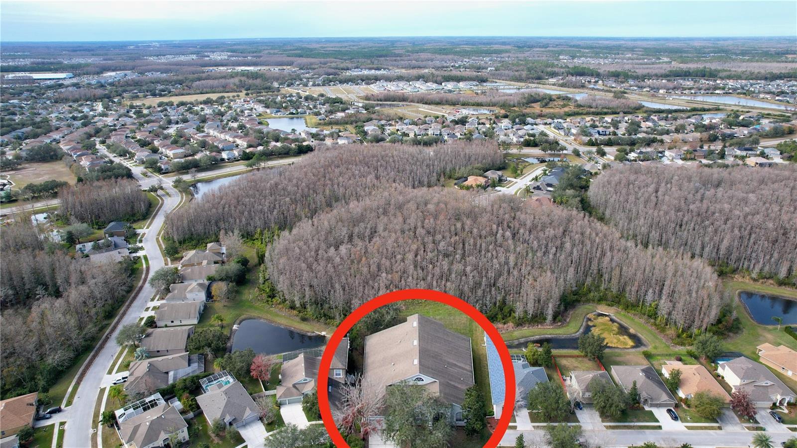 3455 BARNWEILL ST, LAND O LAKES, FL, 34638