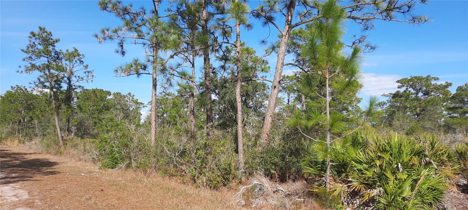424 BOUGAINVILLE DR, INDIAN LAKE ESTATES, FL, 33855