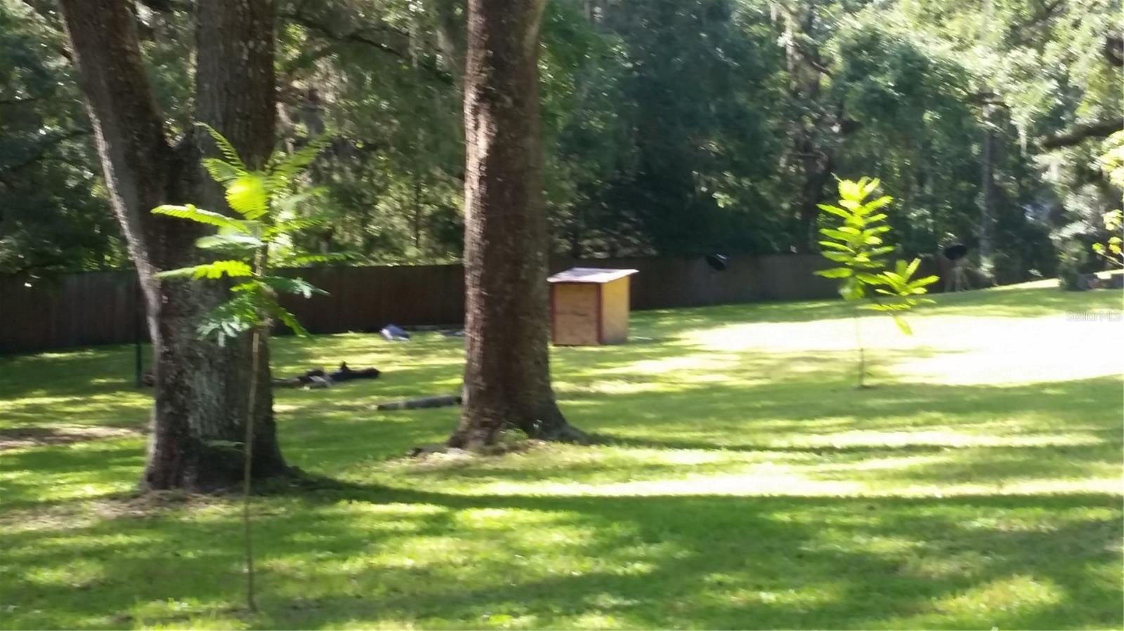 25318 ASH ST, BROOKSVILLE, FL, 34601