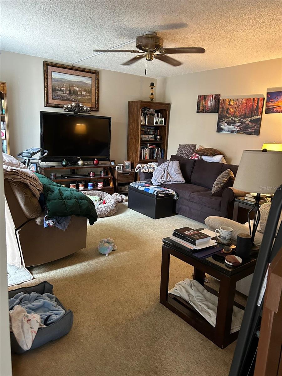 5246 CEDARBEND DR #3, FORT MYERS, FL, 33919