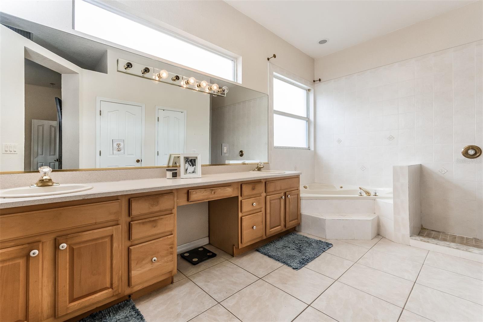 1046 ISLAND POINTE DR, WINTER GARDEN, FL, 34787