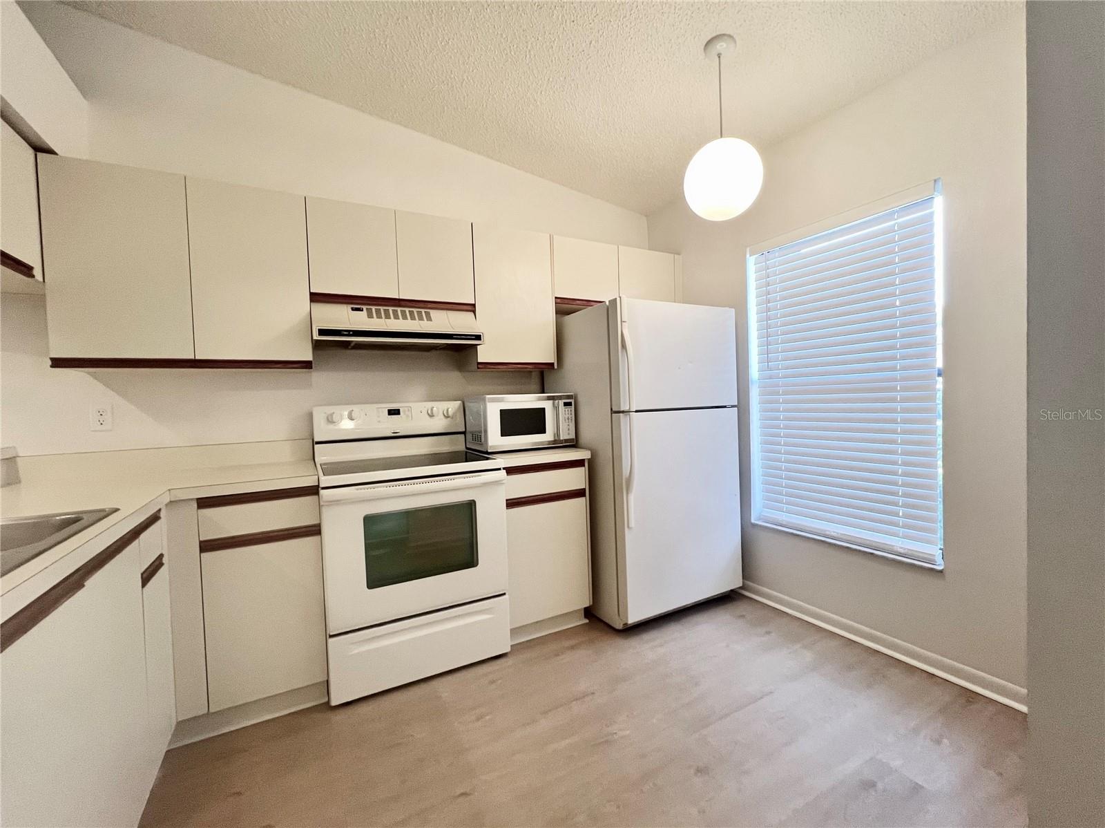 1311 POWDERPUFF DR #4, DUNEDIN, FL, 34698