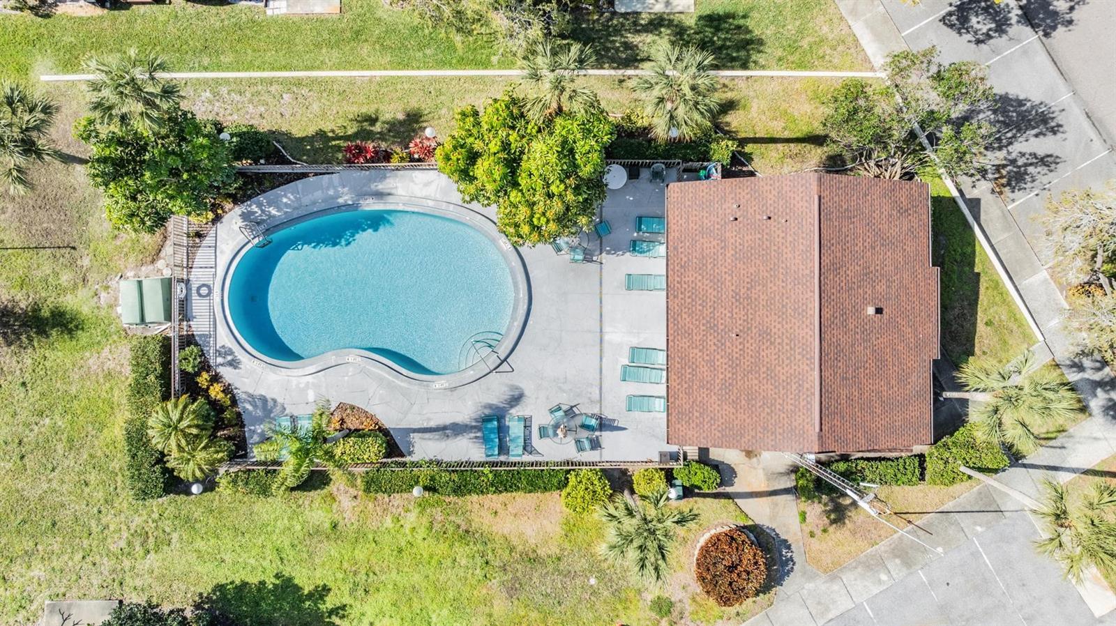 1311 POWDERPUFF DR #4, DUNEDIN, FL, 34698