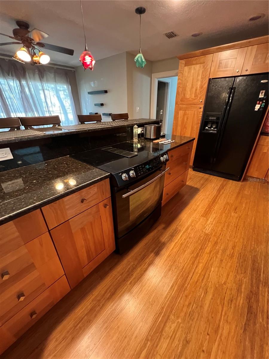 509 JACKSON ST, EUSTIS, FL, 32726