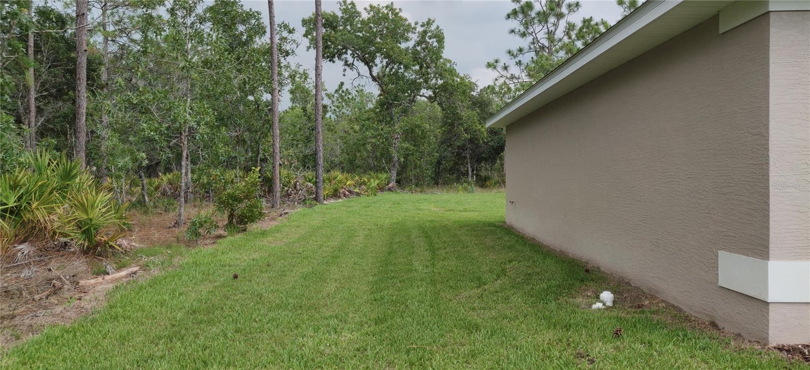 85 VINCA ST, HOMOSASSA, FL, 34446