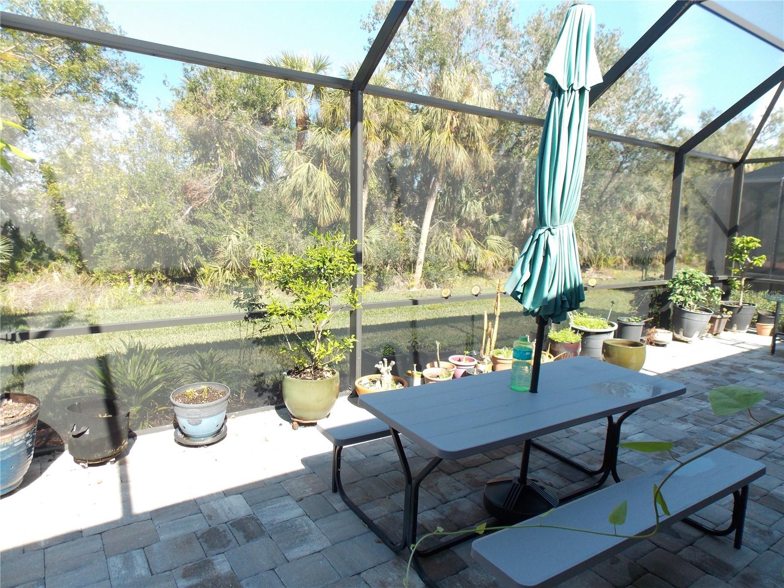11992 BLAZING STAR DR, VENICE, FL, 34293